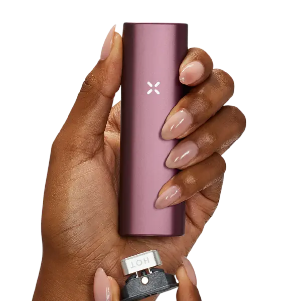 BUY 1 GET 1 FREE PAX Plus Complete Kit | Vape Amazon India Pax