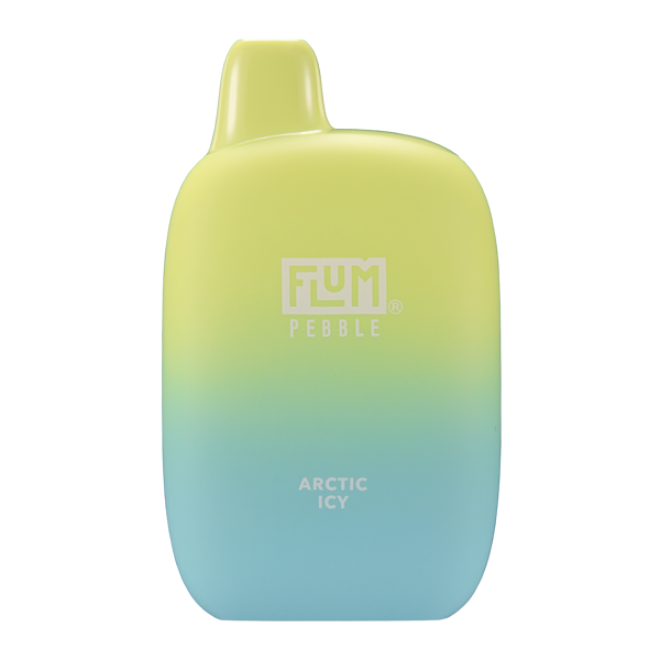 BUY 1 GET 1 FREE Arctic Icy FLUM Pebble |Vape Delhi